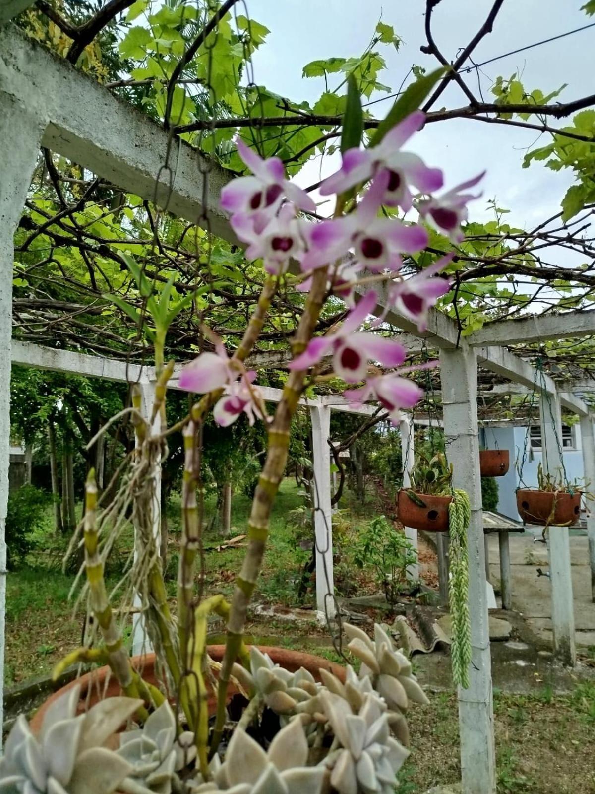Casa de férias Casa Aconchegante Ribeirao Da Ilha