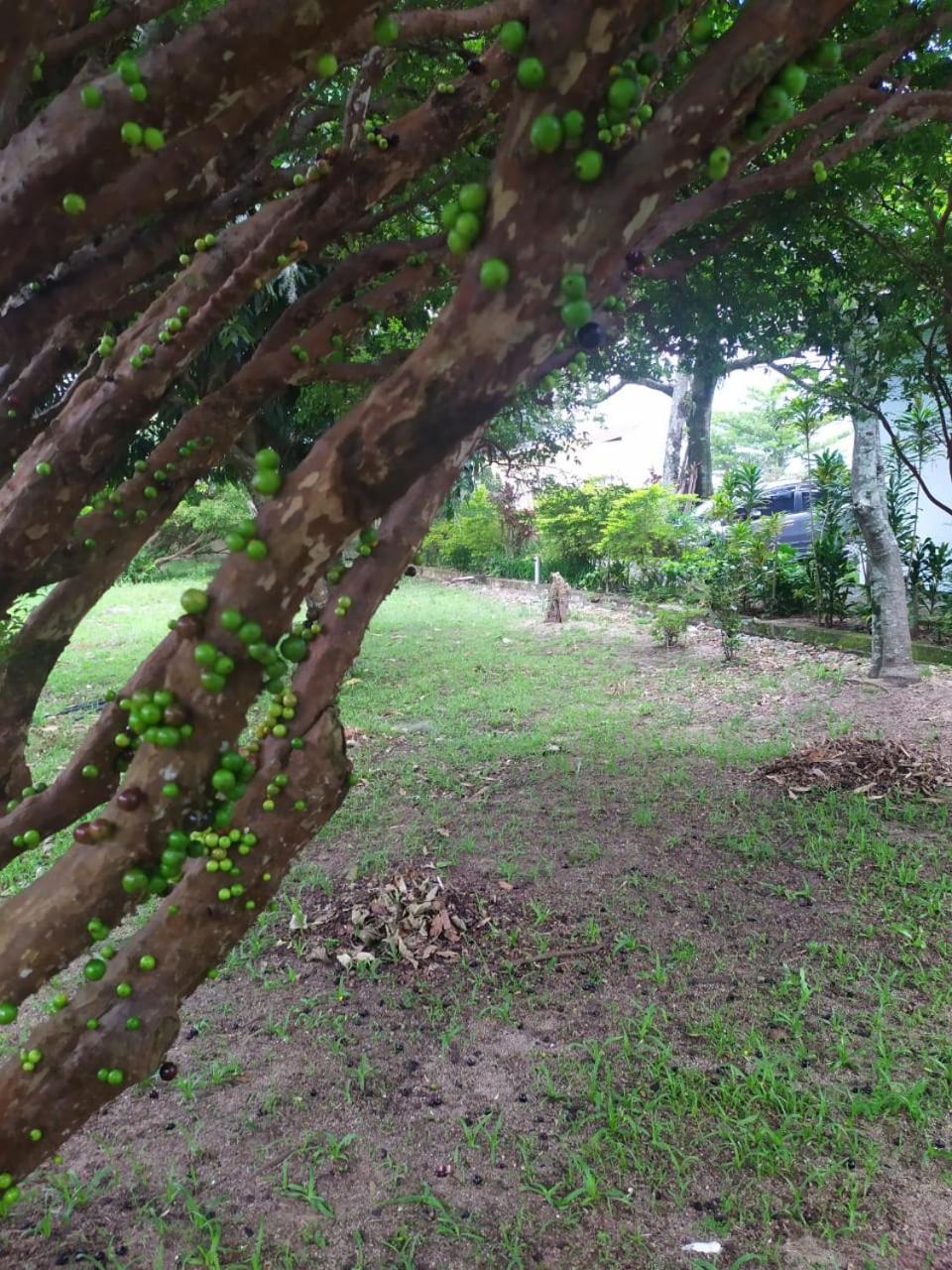 Casa de férias Casa Aconchegante Ribeirao Da Ilha *